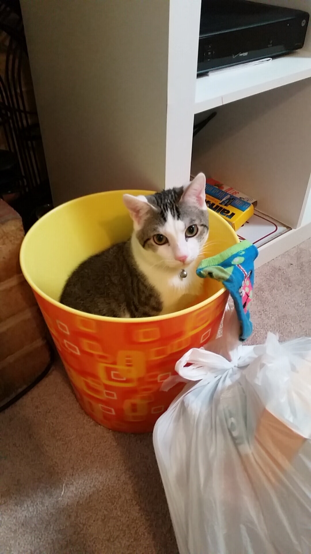 中小学生每日体育活动时间落实情况跟踪调研,确保学生每日体育活动时间