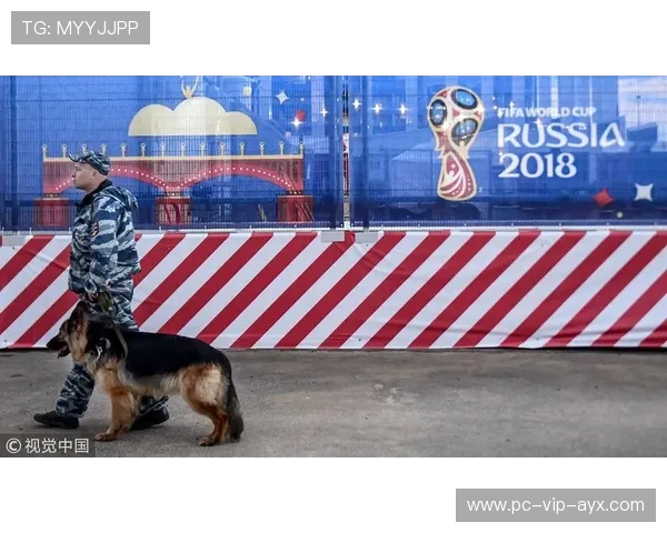 世界杯城市安保科技应用案例分析